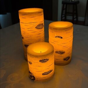 (3) flameless birch bark wax candles.  Battery powered.